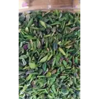 Fresh Pista Slice
